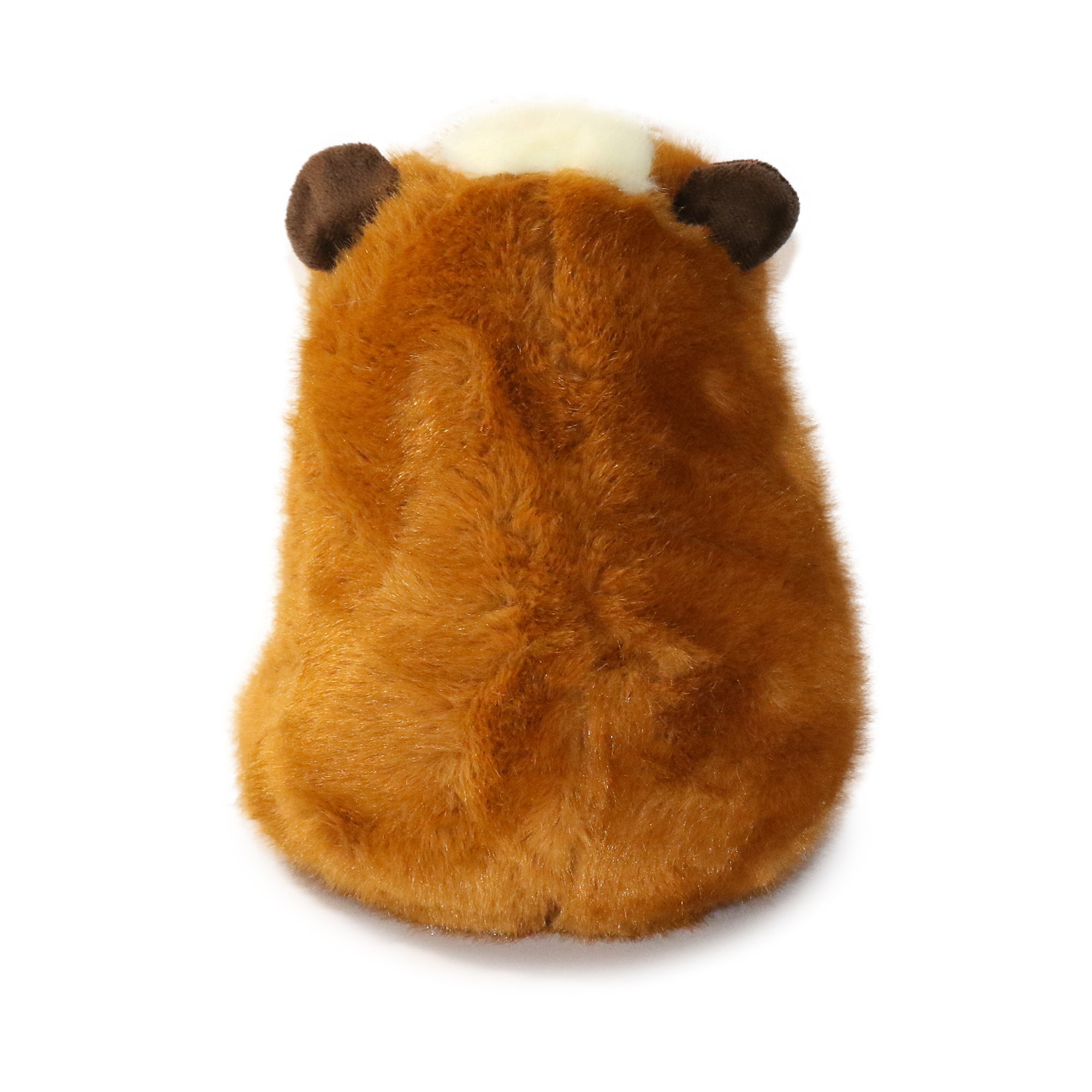 9-inch Toffee Guinea Pig with White Face