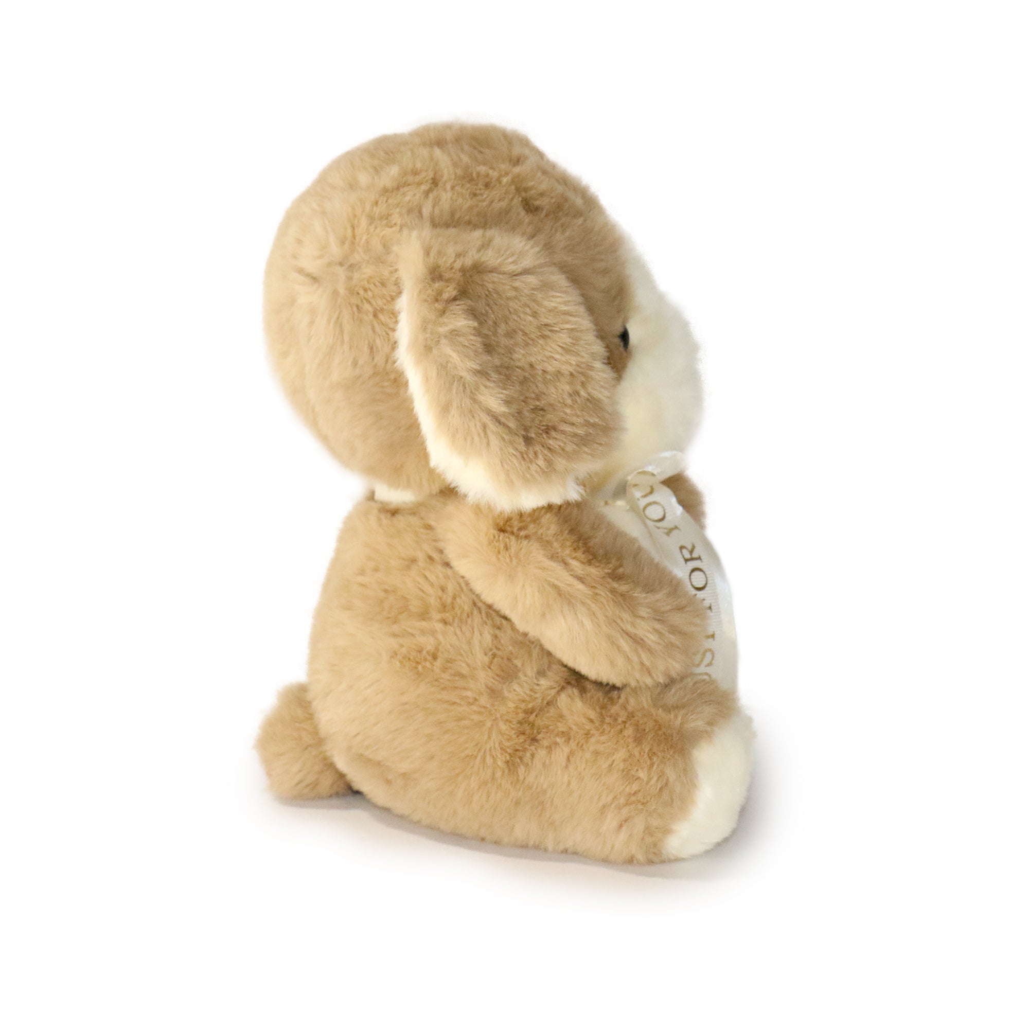 8-inch Just For You Dog with White Ribbon