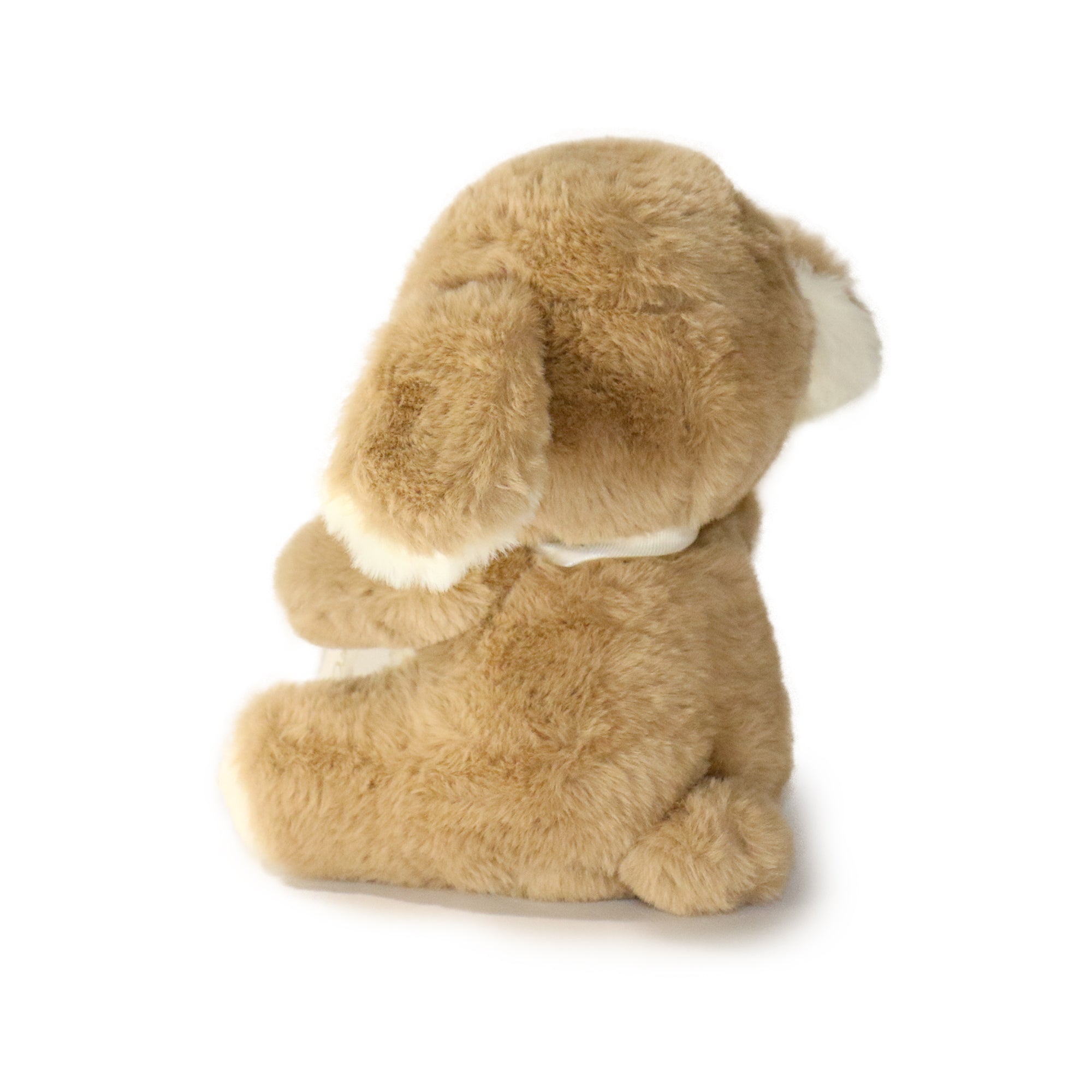 8-inch Just For You Dog with White Ribbon